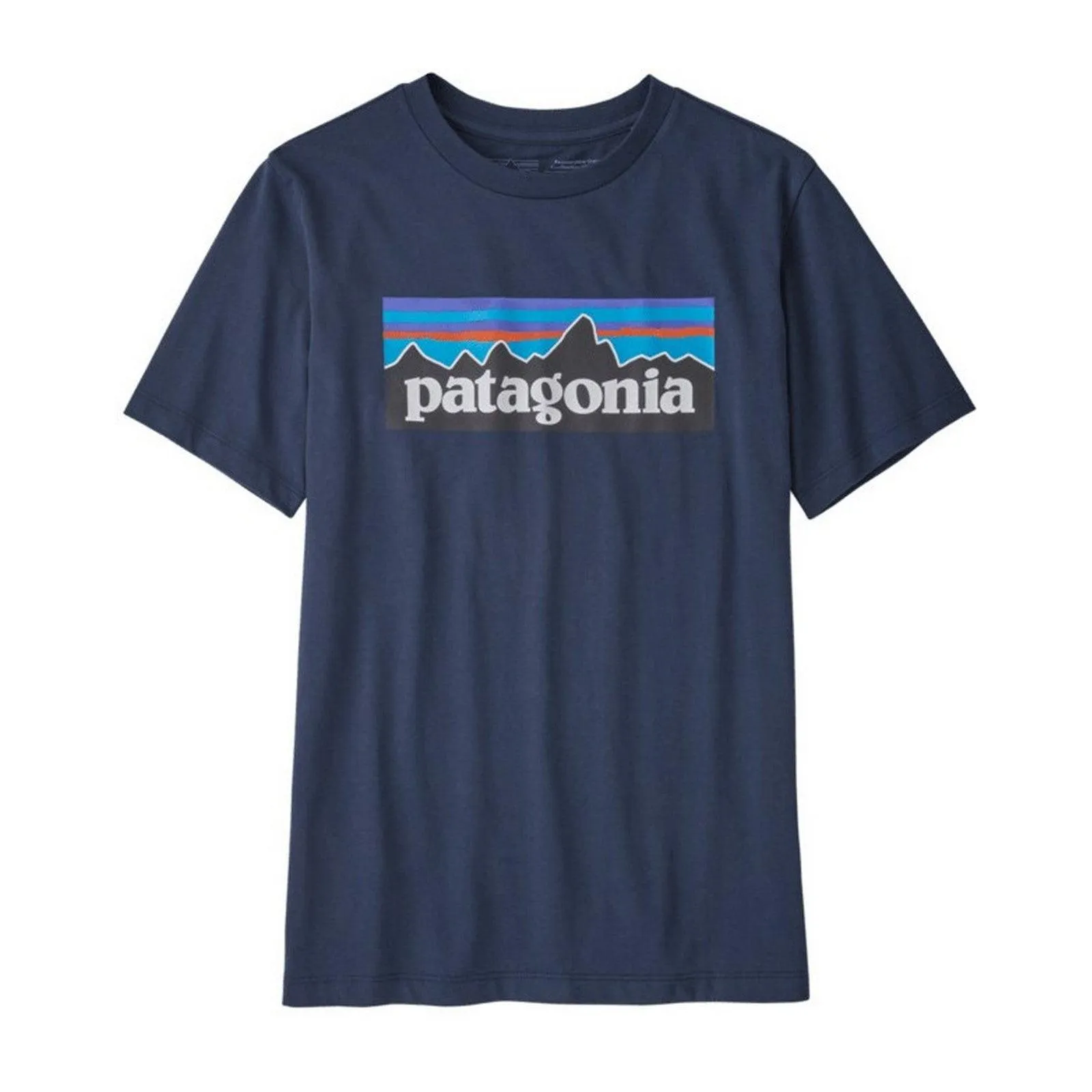 T-shirt Ragazzi Unisex Patagonia - K's Regenerative Org. Certif. Cotton P6 Logo Tee - Blu